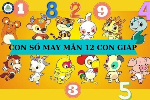 Con số may mắn hôm nay ngày 8/2? Tuổi Mùi có nên mua đất TP Châu Đốc ngày 8 tháng 2 năm 2025 không?