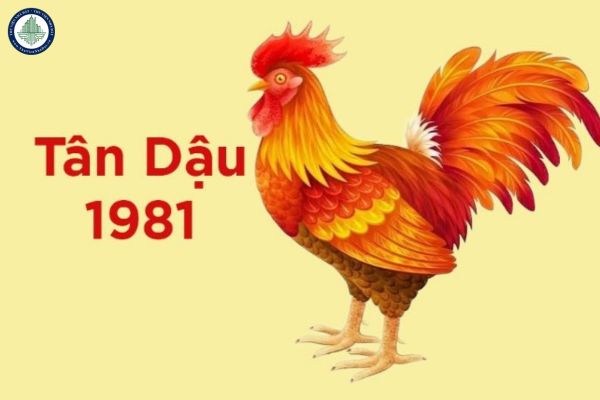 Sinh năm 1981 mệnh gì? Sinh năm 1981 có nên mua nhà thành phố Phan Thiết năm 2025 không?