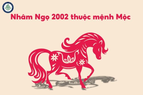 Nhâm ngọ 2002 năm 2025 sao gì chiếu mệnh? Nhâm Ngọ 2002 năm 2025 có nên mua nhà tại Can Lộc Hà Tĩnh không?