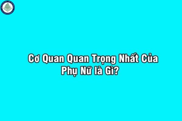 Câu đố cơ quan quan trọng nhất của phụ nữ là gì? Tìm hiểu điều quan trọng nhất khi quyết định mua nhà tại TP Hà Nội?