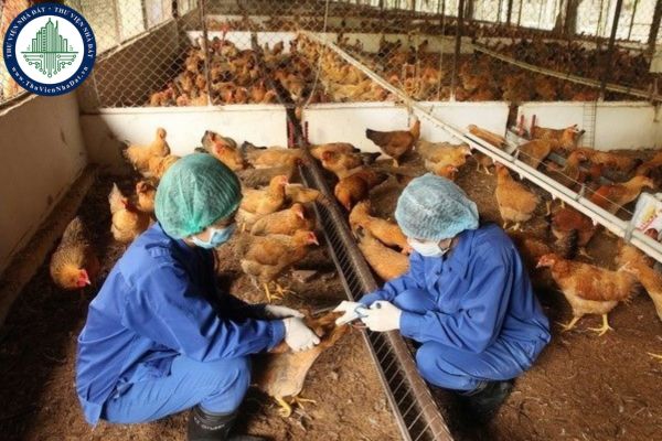 Cơ sở an toàn dịch bệnh động vật là gì? Cơ sở an toàn dịch bệnh động vật được công nhận khi đạt được những điều kiện nào?
