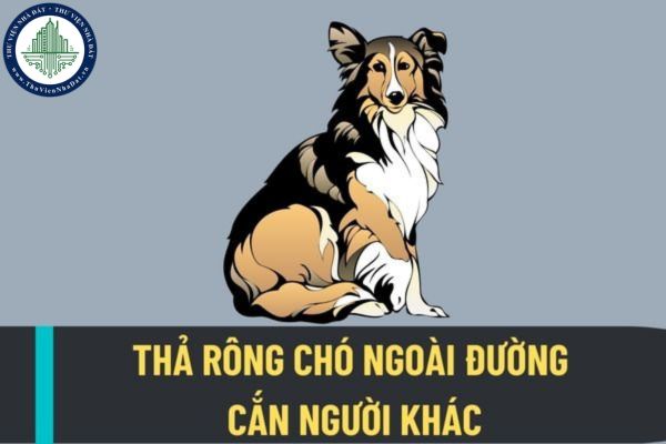 Thả rông chó ngoài đường nhưng không có các biện pháp bảo đảm an toàn thì người chủ bị phạt thế nào?