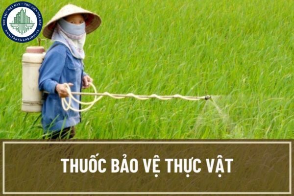 Thuốc bảo vệ thực vật là gì? Thuốc bảo vệ thực vật nào không được phép đăng ký ở Việt Nam?