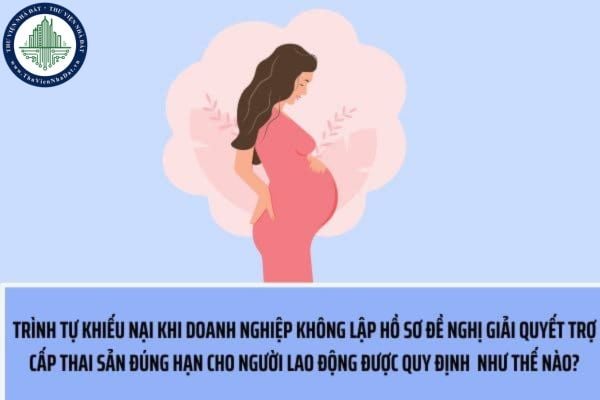 Trình tự khiếu nại khi doanh nghiệp không không lập hồ sơ đề nghị giải quyết trợ cấp thai sản đúng hạn cho người lao động được quy định như thế nào?