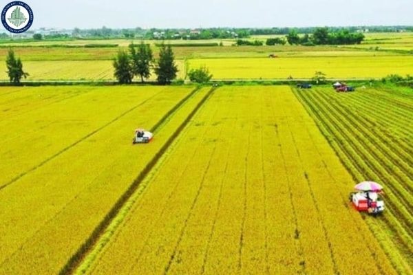 File Công văn 785/BNNMT-QLĐĐ đẩy mạnh triển khai công tác điều tra, đánh giá đất đai ở địa phương? Nội dung điều tra, đánh giá đất đai tại TP Long Xuyên thế nào?