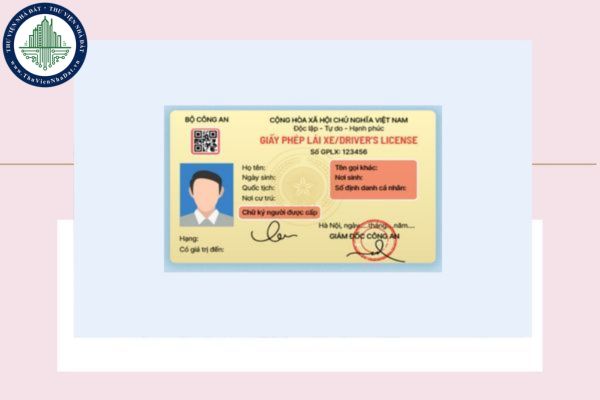 Các loại bằng lái xe 2025? Các loại bằng lái xe và độ tuổi lái xe mới nhất 2025 được quy định như thế nào?