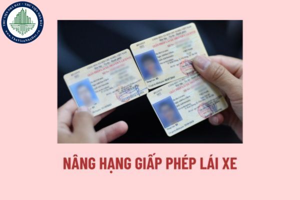 Nâng hạng giấy phép lái xe 2025 thế nào? Bằng lái xe 2025 theo Luật Trật tự, an toàn giao thông đường bộ 2025?