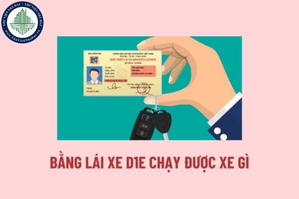 Bằng lái hạng D1E chạy được xe gì 2025? Thời hạn bằng lái hạng D1E được bao nhiêu năm? Bằng lái hạng D1E 2025?