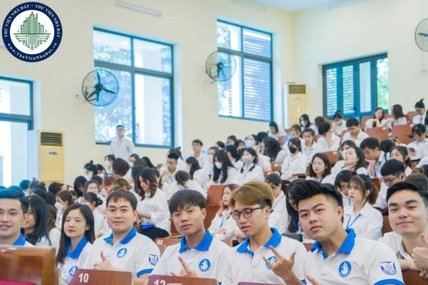 Tổ chức hoạt động văn hóa cho sinh viên trong trường đại học cần phải đảm bảo yêu cầu gì?