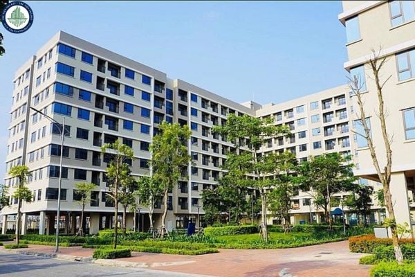 Danh sách nhà ở xã hội giá rẻ tại TPHCM năm 2025? Thứ tự ưu tiên khi mua nhà ở xã hội tại TPHCM như thế nào?