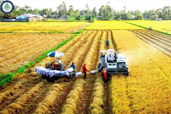 Thanh Hóa 1 sào bao nhiêu mét vuông? Điều kiện nhận chuyển nhượng đất nông nghiệp tại Thanh Hóa từ 01/8