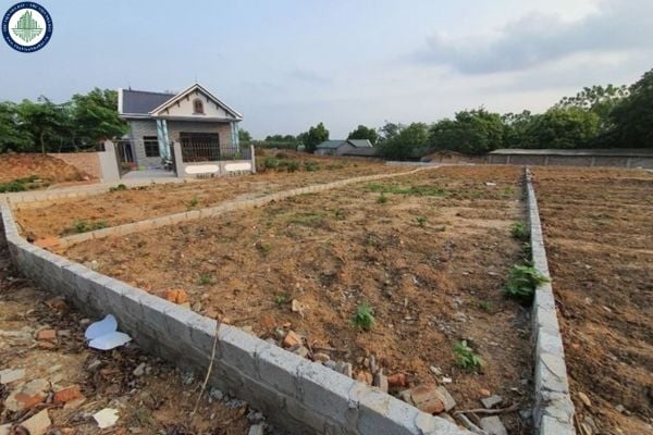Chi tiết trình tự thủ tục hợp thửa đất ở Hải Phòng theo Nghị định 151
