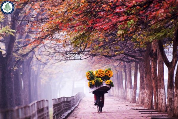 Phố Kim Mã thuộc địa phận phường nào từ 1/7/2025?