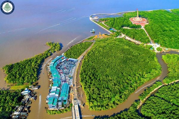 Cao tốc Cà Mau Đất Mũi đi qua đâu? Chi tiết hướng tuyến cao tốc Cà Mau Đất Mũi