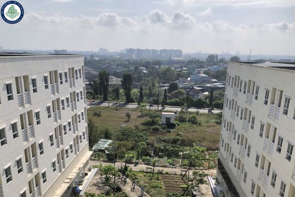Đà Nẵng lấy ý kiến phương án điều chỉnh giá thuê chung cư nhà ở xã hội thuộc tài sản công