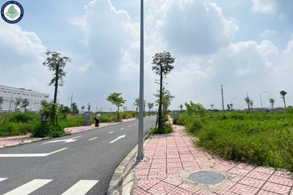 Chi tiết 15 lô đất xóm 3 (Tân Sơn cũ), xã Văn Hiến, Nghệ An sắp đấu giá?