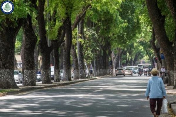 Số 7 Nguyễn Tri Phương Hà Nội thuộc phường nào sau sáp nhập?