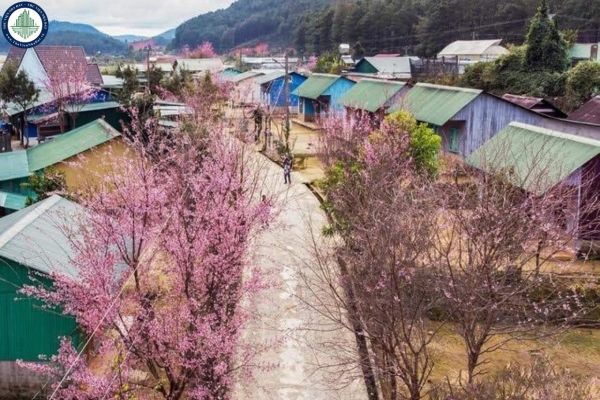 Đầu tư thí điểm bố trí khu tái định cư Đưng K’Si kết hợp bảo tồn văn hóa truyền thống ở Lâm Đồng