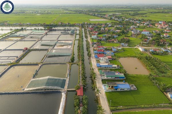 Khu công nghiệp sân bay Tiên Lãng khu B nằm ở đâu?