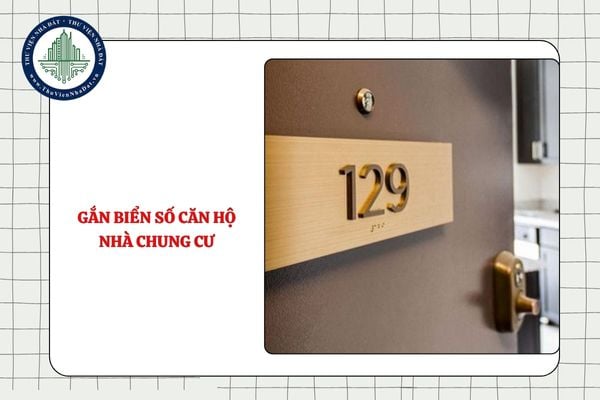 Căn hộ nhà chung cư được gắn biển số như thế nào?