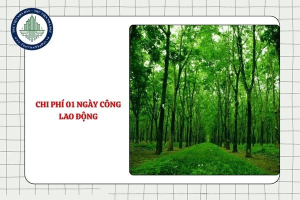 Chi phí 01 ngày công lao động giao rừng, cho thuê rừng là bao nhiêu từ 27/11/2025