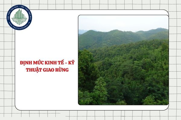 Định mức kinh tế - kỹ thuật giao rừng, cho thuê rừng là gì?