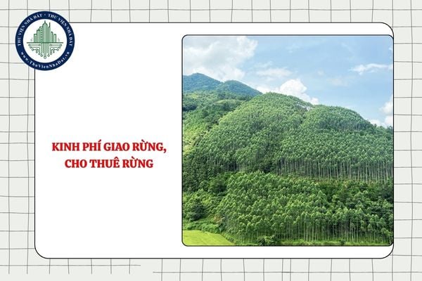 Kinh phí giao rừng, cho thuê rừng từ 27/11/2025 do ai bố trí?