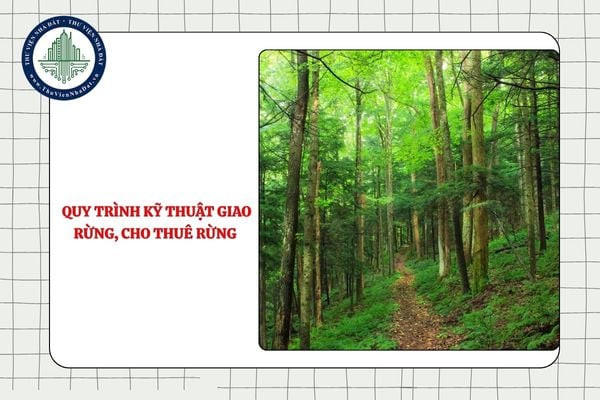 Quy trình kỹ thuật giao rừng, cho thuê rừng từ 27/11/2025 như thế nào?