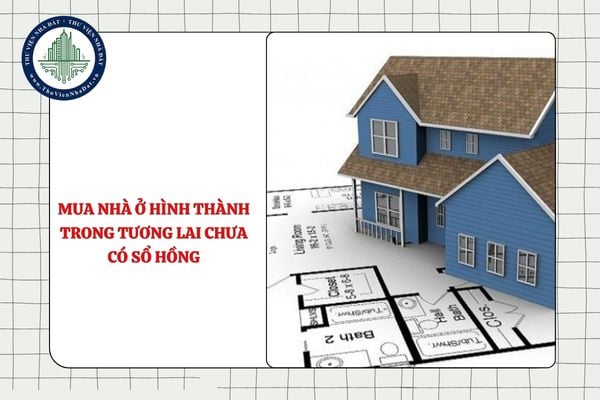 Có phải trả hết giá trị hợp đồng khi mua nhà ở hình thành trong tương lai chưa có Sổ hồng?