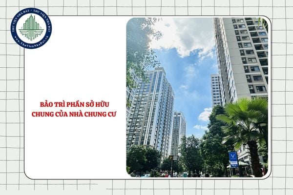 Bảo trì phần sở hữu chung của nhà chung cư khi chưa tổ chức họp Hội nghị nhà chung cư lần đầu được quy định như thế nào?