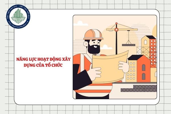 Năng lực hoạt động xây dựng của tổ chức được đánh giá dựa trên cơ sở nào?