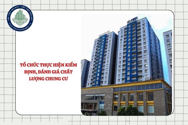 Tổ chức thực hiện kiểm định, đánh giá chất lượng nhà chung cư phải xác định rõ thông tin gì?