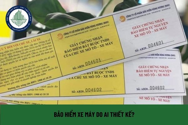 Bảo hiểm xe máy do ai thiết kế? (Hình từ Internet)