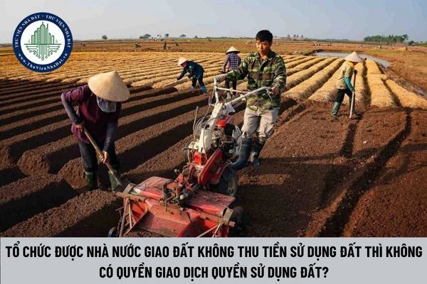 Tổ chức được Nhà nước giao đất không thu tiền sử dụng đất thì không có quyền giao dịch quyền sử dụng đất?