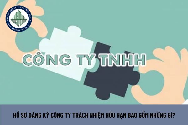 Hồ sơ đăng ký công ty trách nhiệm hữu hạn bao gồm những gì?