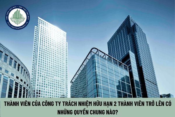 Thành viên của công ty trách nhiệm hữu hạn 2 thành viên trở lên có những quyền chung nào?