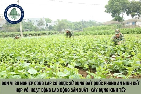 Đơn vị sự nghiệp công lập có được sử dụng đất quốc phòng an ninh kết hợp với hoạt động lao động sản xuất, xây dựng kinh tế? (Hình từ Internet)