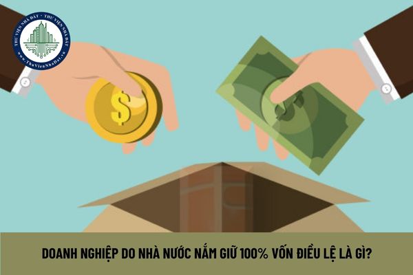 Doanh nghiệp do Nhà nước nắm giữ 100% vốn điều lệ là gì? 