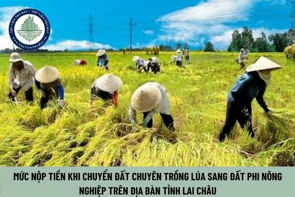 Mức nộp tiền khi chuyển đất chuyên trồng lúa sang đất phi nông nghiệp trên địa bàn tỉnh Lai Châu