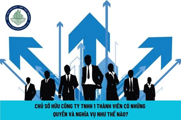 Chủ sở hữu công ty TNHH 1 thành viên có những quyền và nghĩa vụ như thế nào?