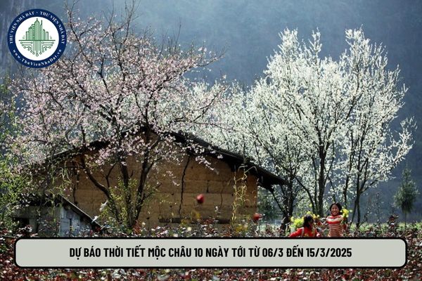 DỰ BÁO THỜI TIẾT MỘC CHÂU 10 NGÀY TỚI TỪ 06/3 ĐẾN 15/3/2025