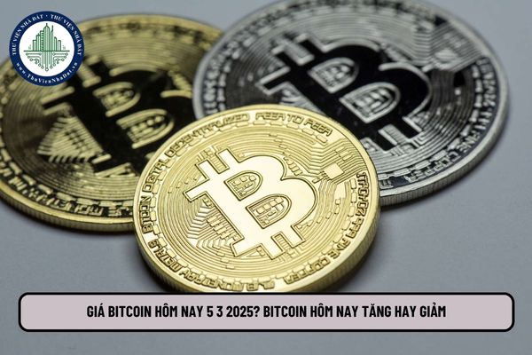 Giá bitcoin hôm nay 5 3 2025? Bitcoin hôm nay tăng hay giảm? Bitcoin sang USD?