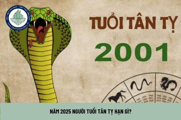 Năm 2025 người tuổi Tân Tỵ hạn gì?