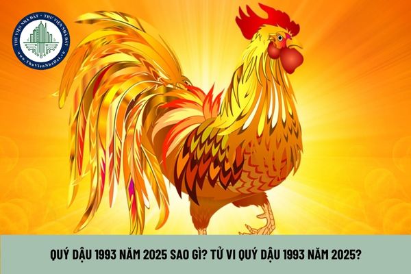 Quý dậu 1993 năm 2025 sao gì? Tử vi Quý Dậu 1993 năm 2025? 