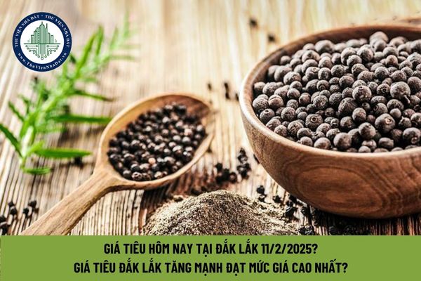 Giá tiêu hôm nay tại Đắk Lắk 11 2 2025? Giá tiêu Đắk Lắk tăng mạnh đạt mức giá cao nhất?