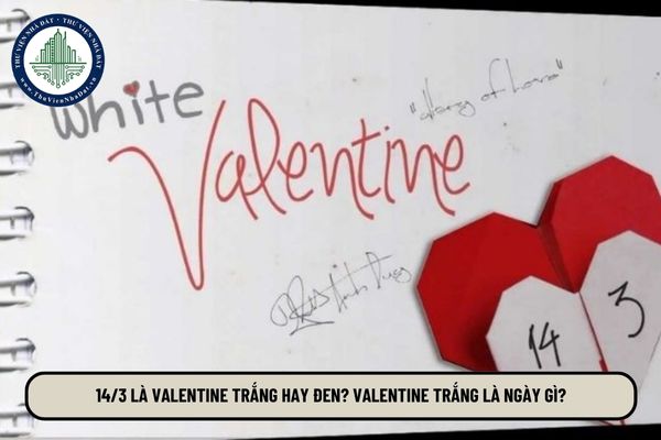 14 3 là Valentine trắng hay đen? Valentine trắng là ngày gì? 