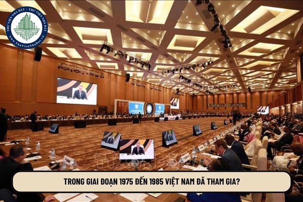 Trong giai đoạn 1975 đến 1985 Việt Nam đã tham gia?