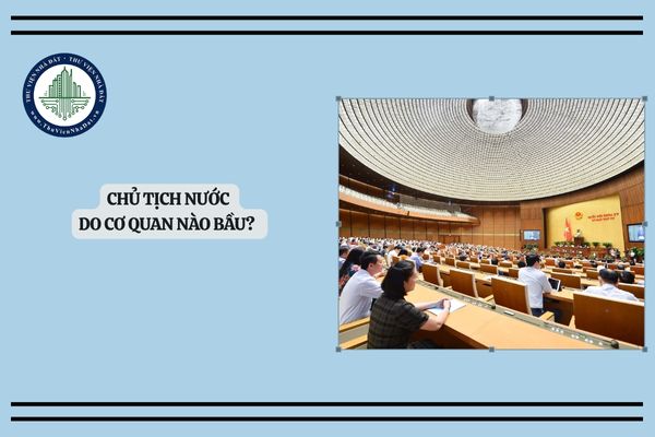 Chủ tịch nước do cơ quan nào bầu? Quy trình bầu chủ tịch nước 