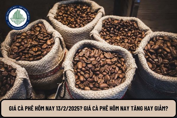 Giá cà phê hôm nay 13 2 2025? Giá cà phê hôm nay tăng hay giảm?