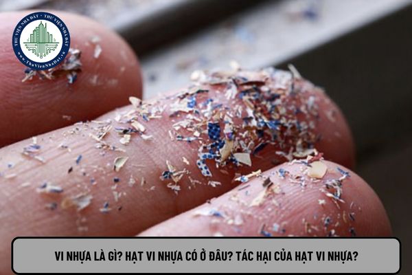 Vi nhựa là gì? Hạt vi nhựa có ở đâu? Tác hại của hạt vi nhựa?